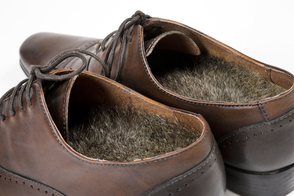 Picture of Shoe Innersoles